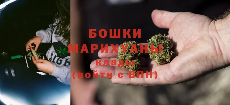 Канабис White Widow  Кохма 